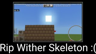 MINECRAFT WAIT WHAT #9 (RIP Wither Skeleton)