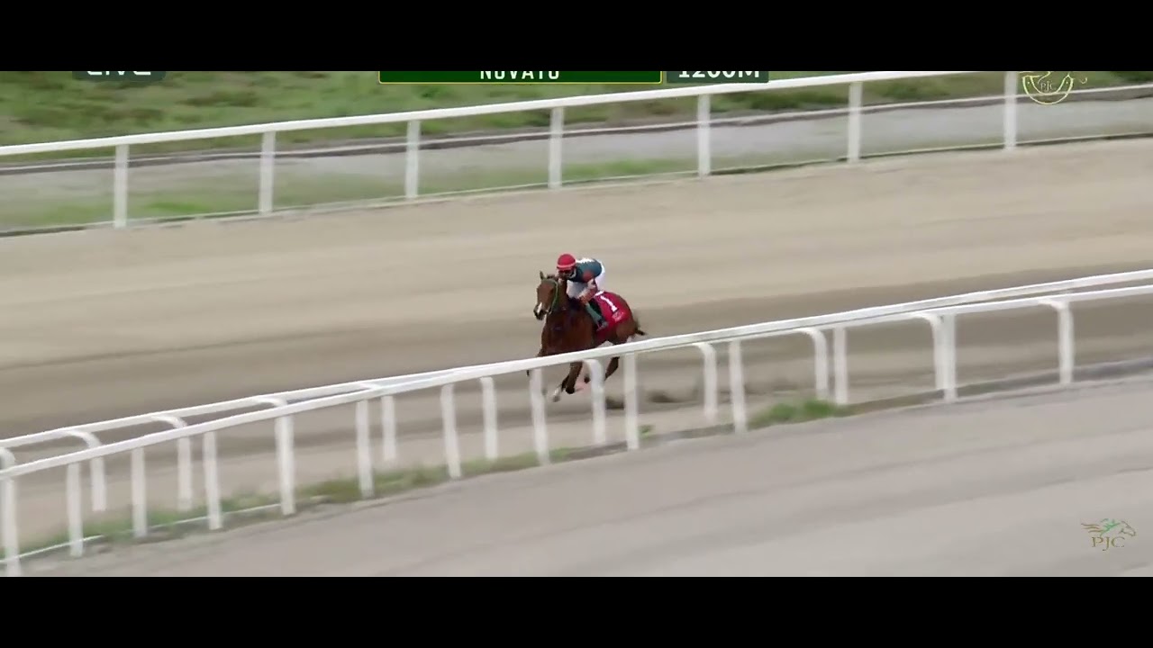 AUTO CRUISE - AP NAVAROSA (