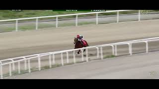 Auto Cruise - Ap Navarosa 113 1200M Novatos Dec 24 2025