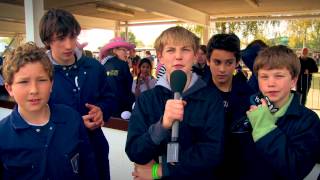 All about Greenpower