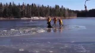 Canadian firefighters venture onto ice to save stranded moose screenshot 5