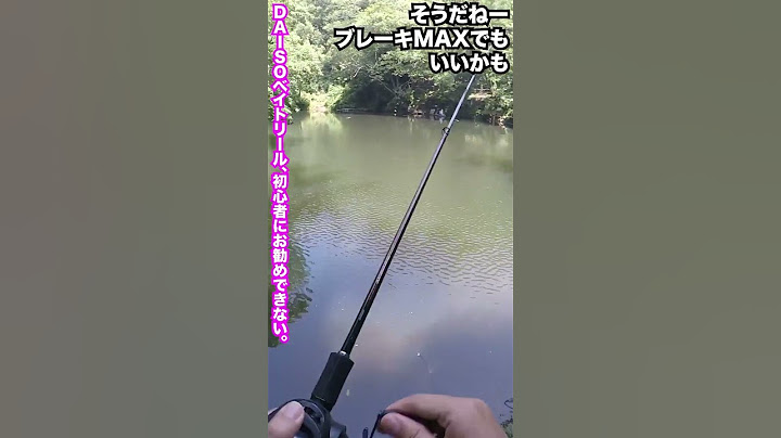 初心者におすすめできない【ダイソー ベイトリール】