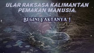 ULAR RAKSASA KALIMANTAN PEMAKAN MANUSIA ! BEGINI FAKTANYA !