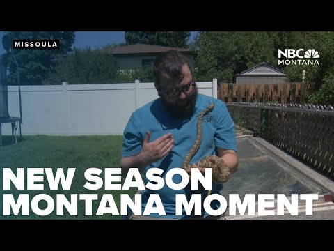 Montana Ryder's Secret Exposed: You Won't Believe This
