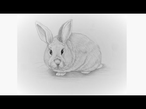 How to draw a rabbit. Как нарисовать кролика карандашами