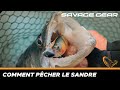 La pêche du sandre avec Savage Gear (verticale, drop shot, blades, linéaire)