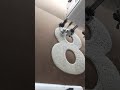 Towel embroidery#CustomApparel #MadeToOrder #GarmentManufacturing