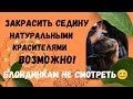 Как покрасить и укрепить волосы хной и басмой.