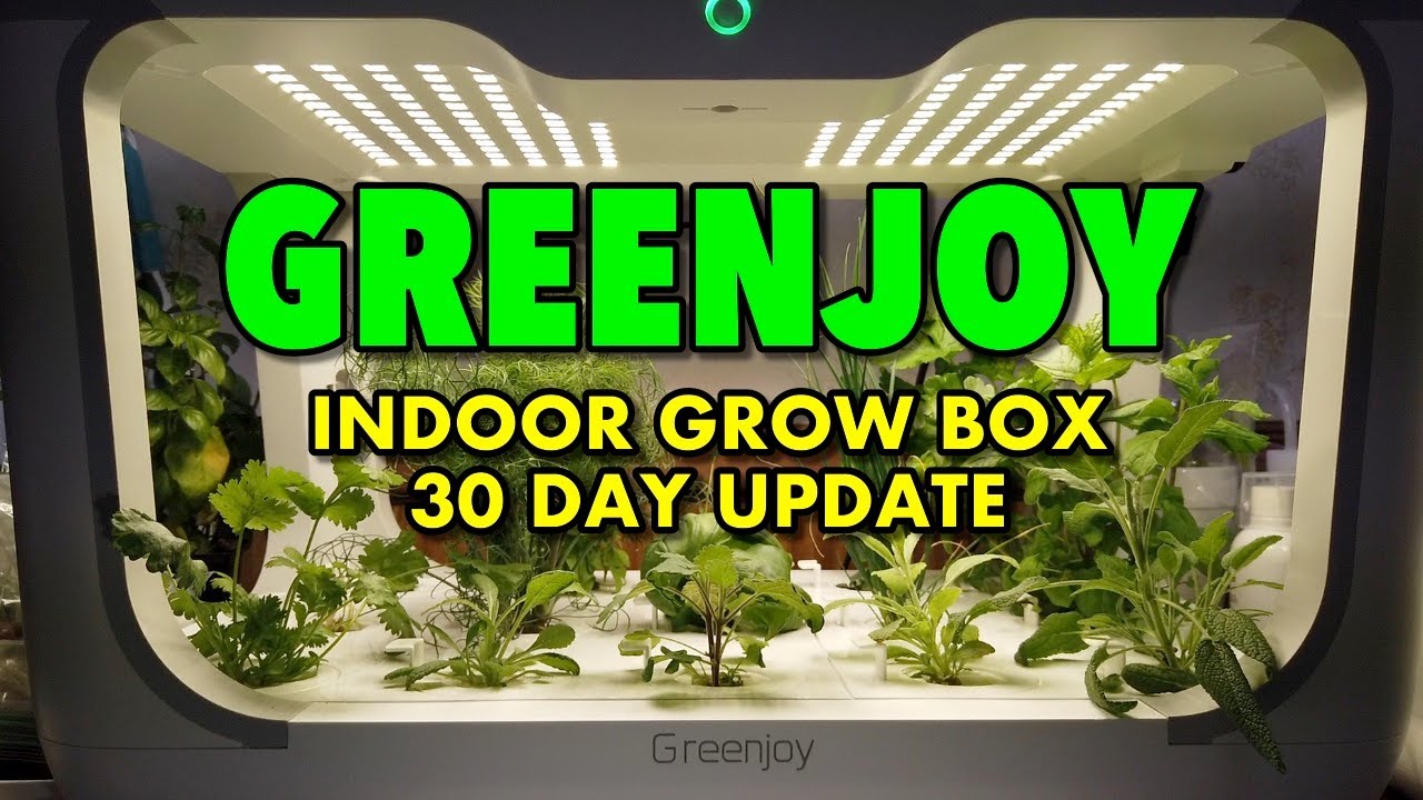 Greenjoy hydroponic indoor grow box 30 day update YouTube