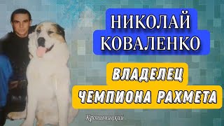 Николай Коваленко и его алабаи / alabai / заводчики