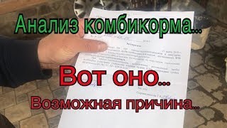 видео Лабораторное оборудование оптом