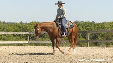 On A Tuff Drive - grooming, tacking, walk, trot, lope, stops, turns! - ValleyViewRanch.net