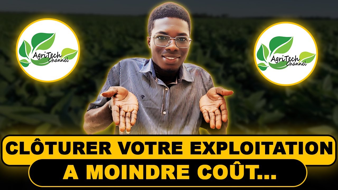 Clôturer vos Fermes à Moindre Coût en 2025