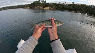 Fishing Snug Cove Wharf in Eden: Day 2 of the Pirtek Fishing Challenge!