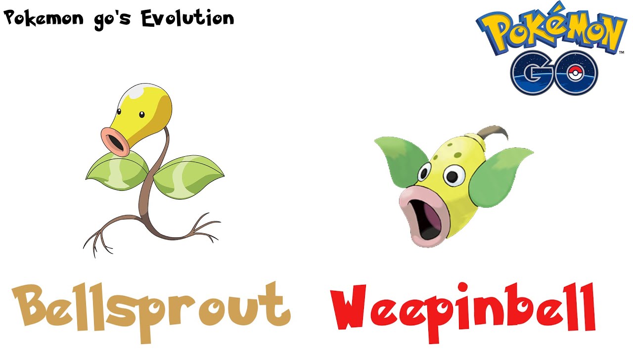 Pokemon Bellsprout Evolution Chart