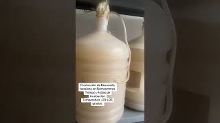 Producción. Beauveria bassiana en Biorreactor líquido Microbiolab Ecuador