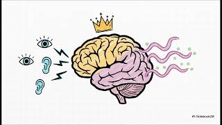 PSICOBIOLOGÍA UNED :: TEMA 13 - Sist. Neuroendocrino 🧬 Las hormonas y el cerebro se ponen de acuerdo