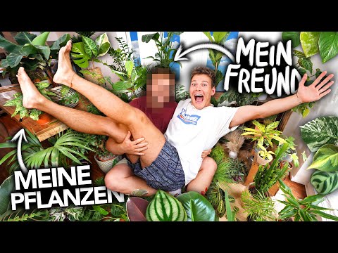 Video: Meine Aloe produziert keine Welpen – Wie man Aloe Vera-Welpen zur Vermehrung anregt