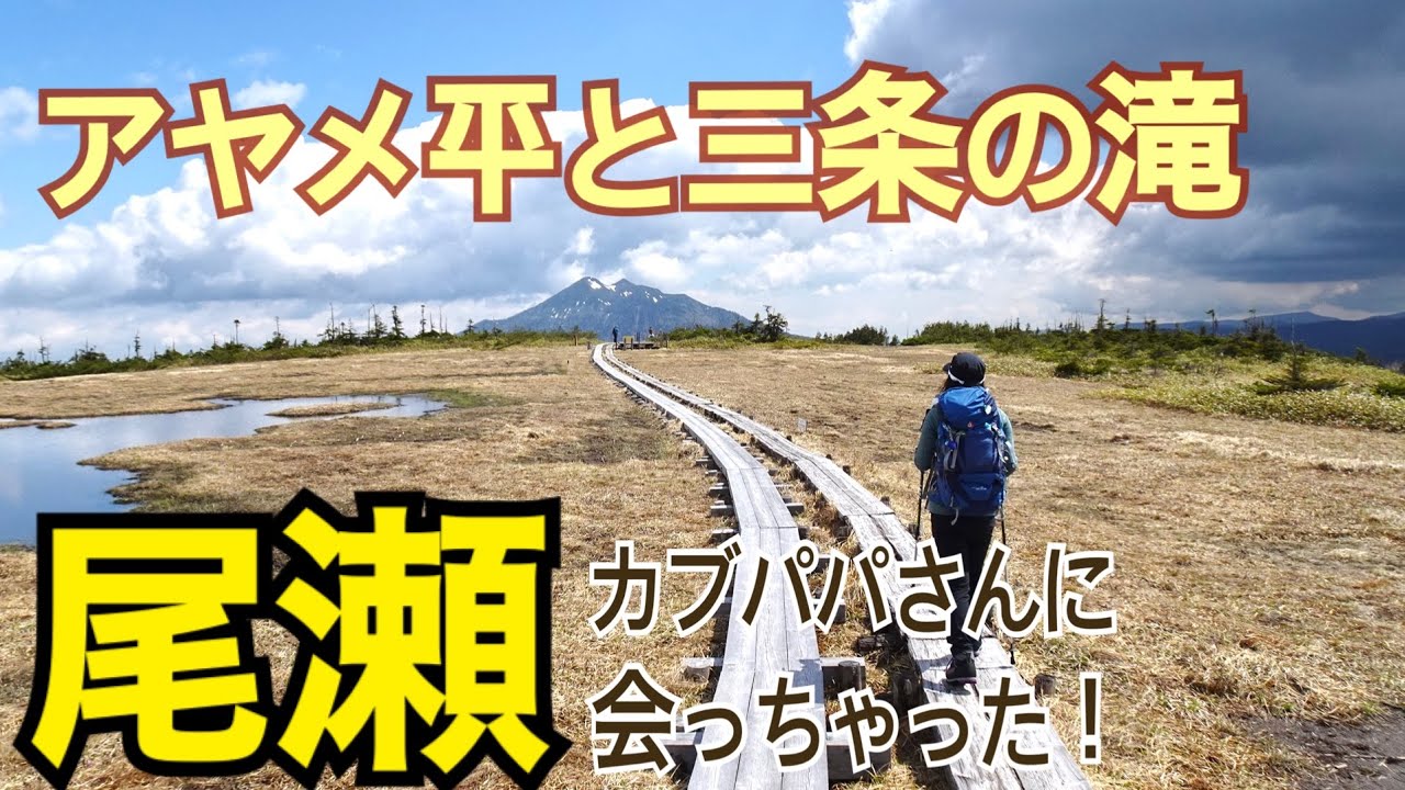 【尾瀬1日目】カブパパさんとばったり！アヤメ平と三条の滝