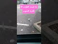 هون عليك فإن الله فارجها 