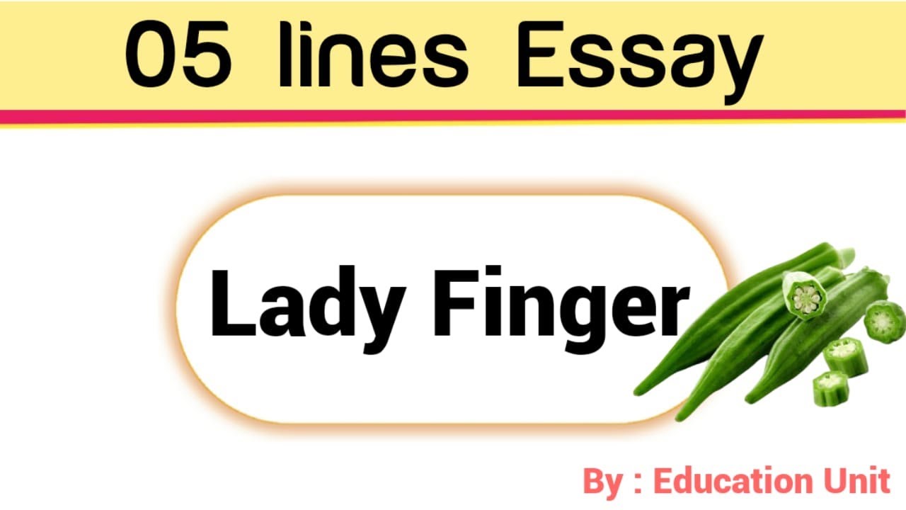 essay on lady finger for class 1
