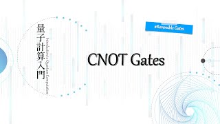 6.4-CNOT Gates