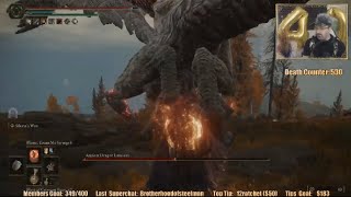 DSP Angry That Boss Won’t Let Him Heal... Pathetic (Elden Ring)