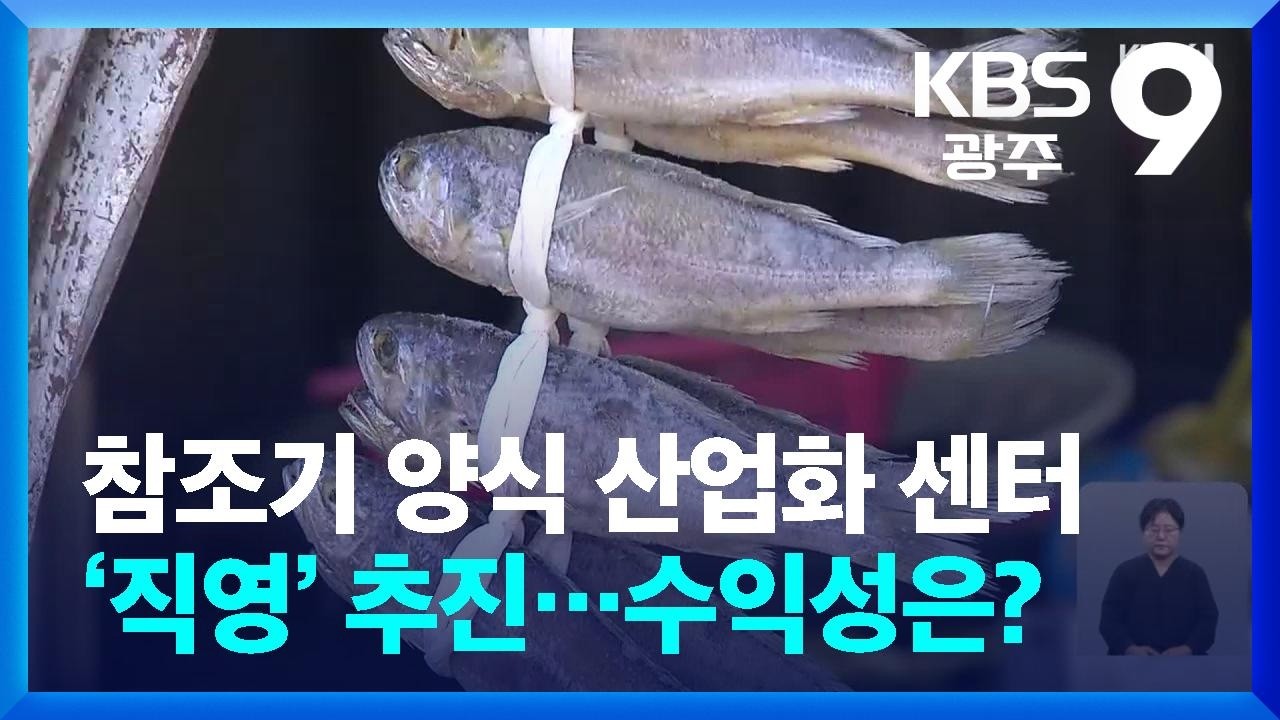 참조기 양식 산업화 센터 ‘직영’ 추진…수익성은? / KBS 2026.10.16.