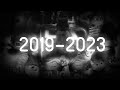 2019-2023 г. (обновлено)