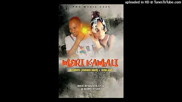 MERI KAMALI _2023 (Mainos Studio) Prod by BarataStoz