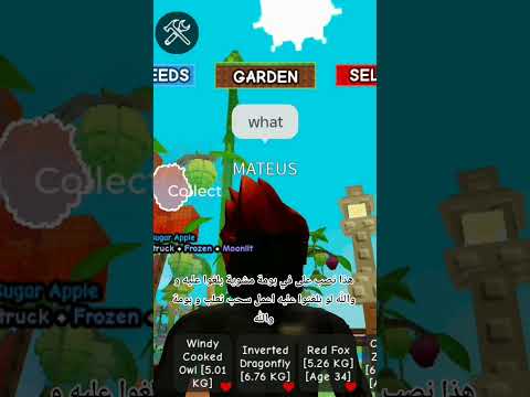 احتاجكم بليييز والله اذا بلغتوا اعمل سحب