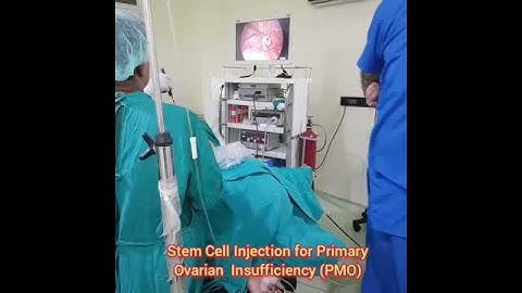 Stem Cell Transplantation for Primary Ovarian Insufficiency or Female Infertility