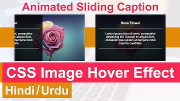 CSS Image Hover Effect with Sliding Caption (Hindi/Urdu)