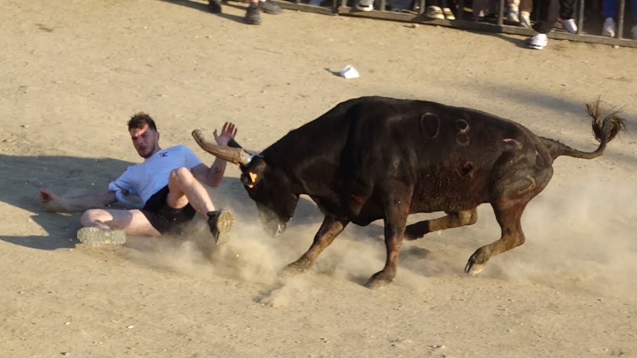 ALES BEST OF ENCIERROS 09-11/05/24