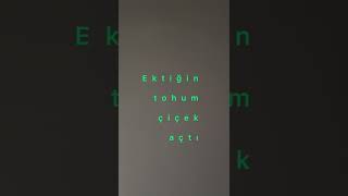 Teşekkür Ederim Öğretmenim.didem Dündar 24 Kasım Öğretmenler Günü Şarkısı.