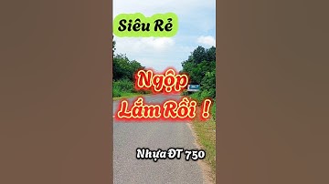 Đất Dầu Tiếng I Ngộp lắm rồi  ! Bán gấp lô đất 50 × 117 ( Tc 300) giá rẻ #kimbds