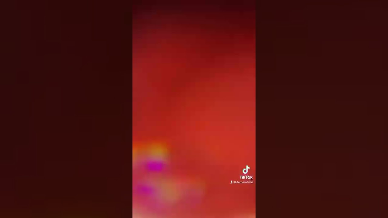 Our Most Viral Video 😍 