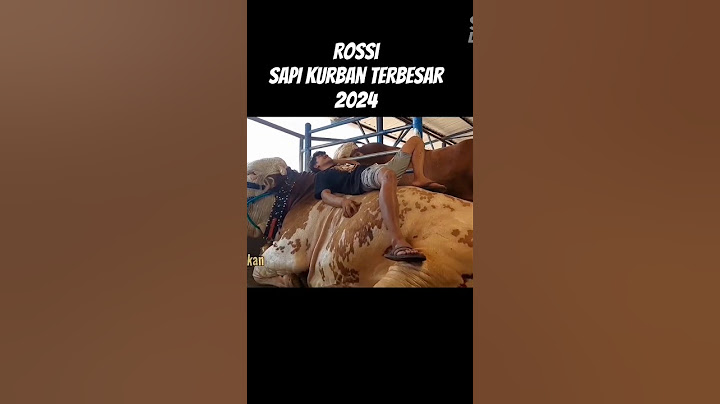 SAPI TERBESAR di Indonesia 2024, Beratnya 1,3 Ton #kurban #sapi #mancing #ayam #sapijumbo #sepakbola