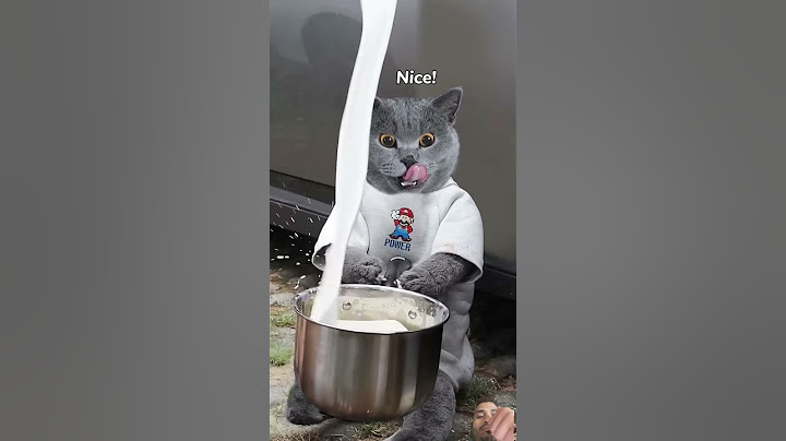 Sharing Tasty Turkey Noodles With The Hungry! I Don't Waste Food #catvideos #catmemes#trending