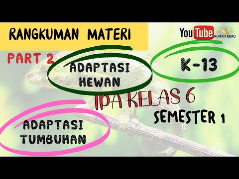 Video: Bergerak Dalam Lingkungan Ekstrem: Ekstrem Apa Dan Siapa Yang Memutuskan?