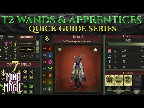 T2 WANDS &