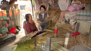 【草根菩提】20150130 - 368出去走走 - 小草的力量