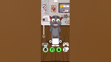 Juan playing with ball #talkingjuan