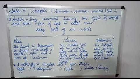 Class - 3  ! Science ! Chapter - 4 ! Part - 1