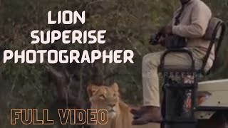 lion surprises photographer I full #video I crazy moment I @jssafari1