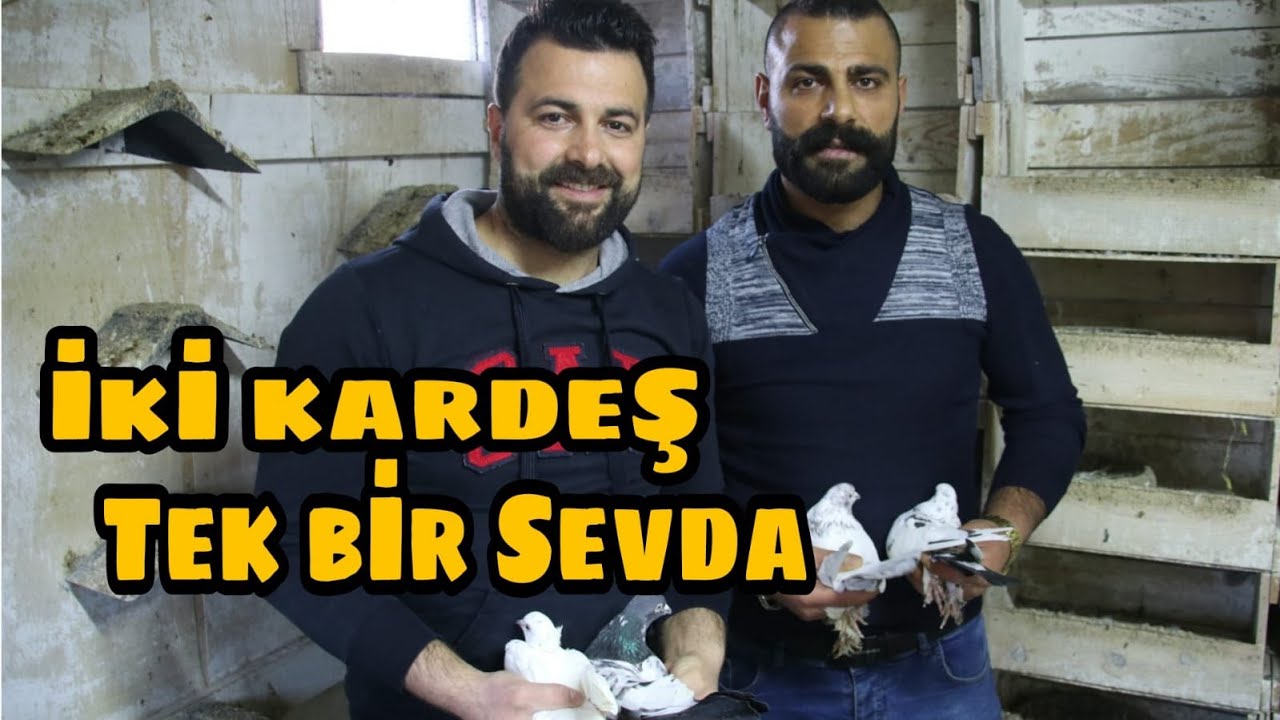 Güzel İnsanlar-Harika Güvercinler; İstanbulda Ferit EVİN ve Ferhat EVİN Kardeşlerin Misafiri Olduk