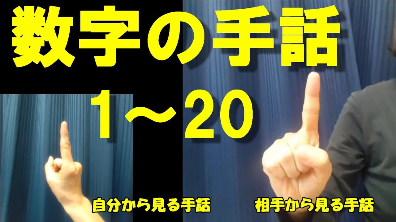 手話 の 数