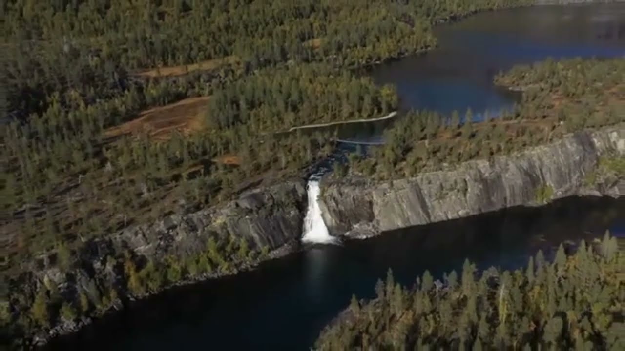 A Bunch of Deckheads ft. DJ Rodrick - Smooth Afro House & Afrobeats Mix  | Davido, Lojay,Tems