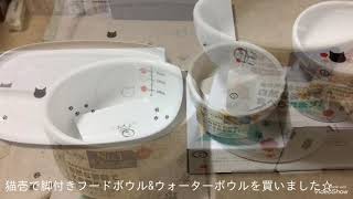 《猫壱》の食器を買って使ってみた！果たして使い心地は‥？！