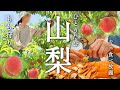 [ひとり旅] 桃狩りにカニ食べ放題を満喫！大好物尽くしの山梨1泊2日ひとり旅〈中込農園〉〈春日居びゅーほてる〉